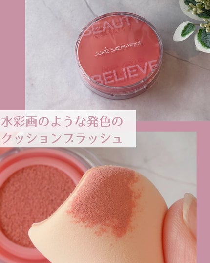 アーティストクッションブラッシュ/JUNG SAEM MOOL/リキッドチークを使ったクチコミ(2枚目)