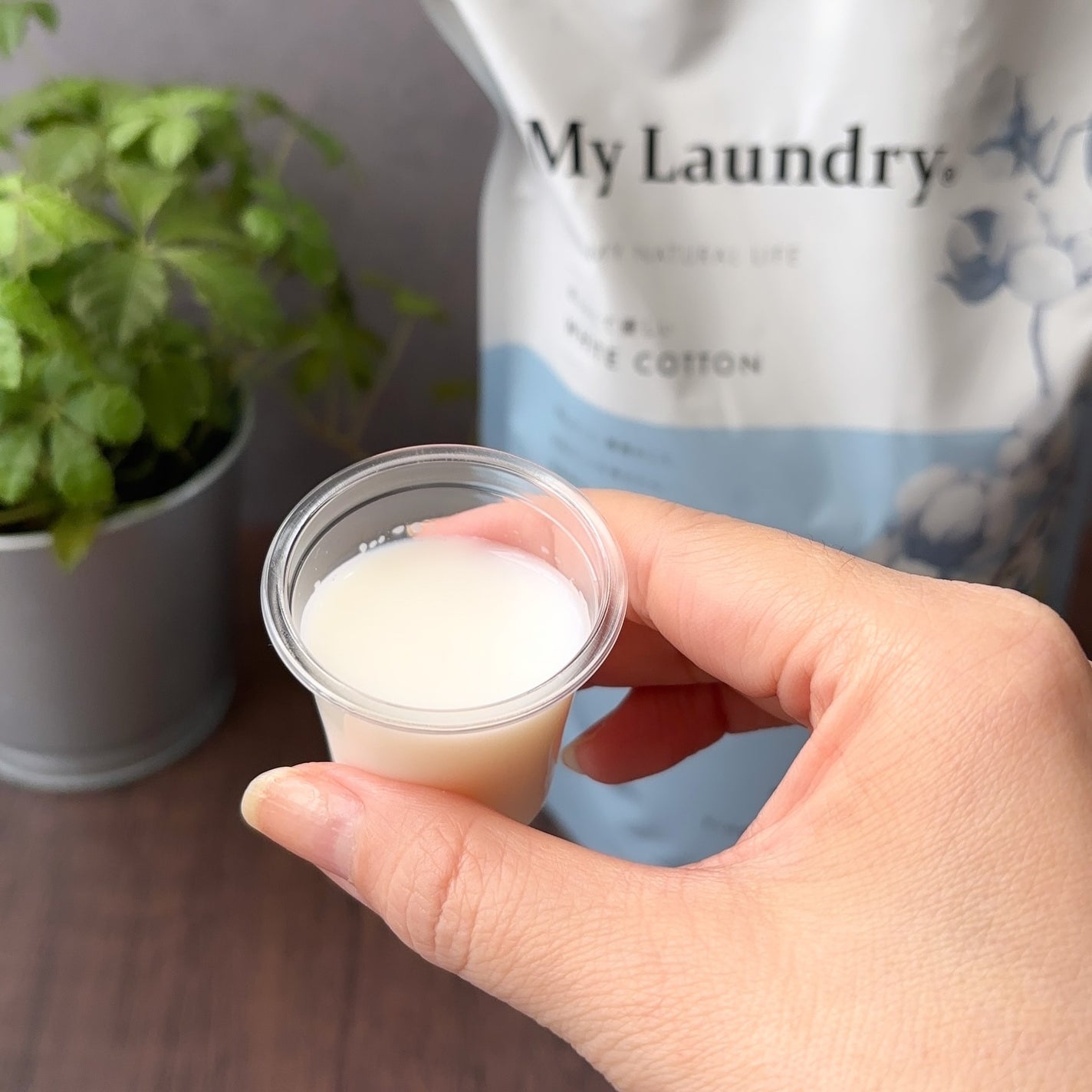 マイランドリー ホワイトコットンの香り/マイランドリー/柔軟剤を使ったクチコミ(3枚目)