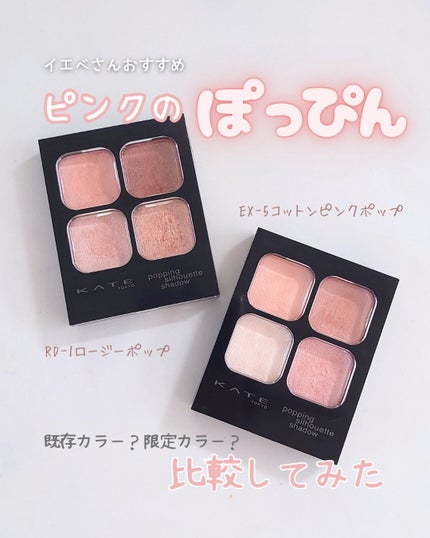ケイト ポッピングシルエットシャドウ/KATE/アイシャドウパレットを使ったクチコミ(1枚目)