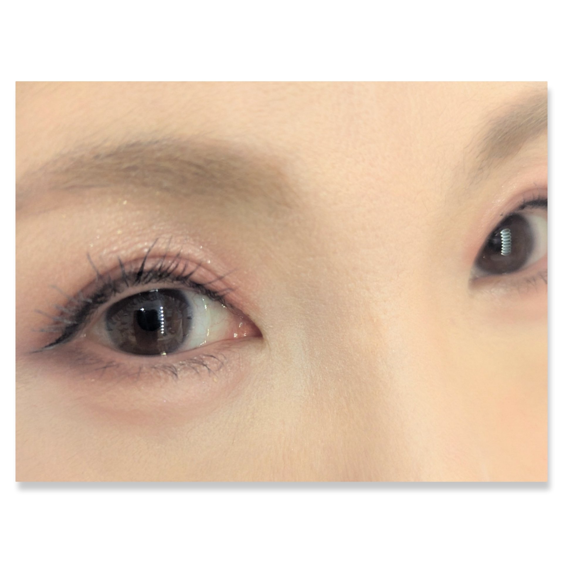 ジュエリーシャドウベール/キャンメイク/アイシャドウパレットを使ったクチコミ（2枚目）