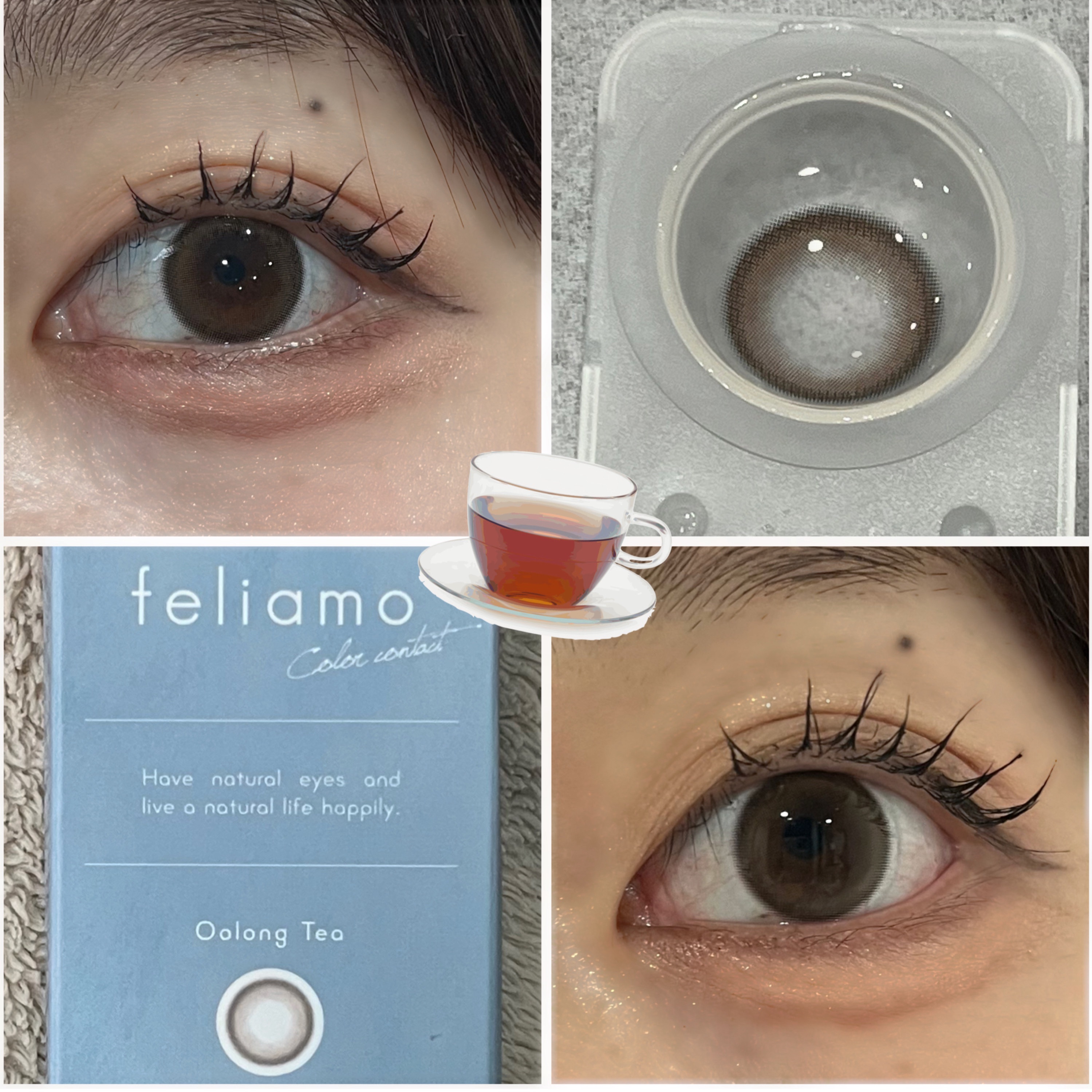 feliamo　ウーロンティー

ーーーーーーーーーーーーーーーーーーーー

DIA: 14. 2mm
着色直径：13.0mm
B. C: 8. 6mm

ーーーーーーーーーーーーーーーーーーーー


ナチュラル細フチ✖️裸眼盛れ
トキメキ