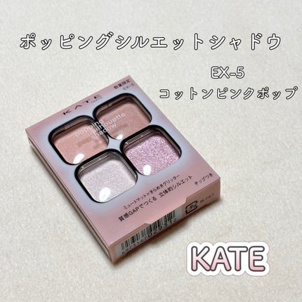 ケイト ポッピングシルエットシャドウ/KATE/アイシャドウパレットを使ったクチコミ(1枚目)