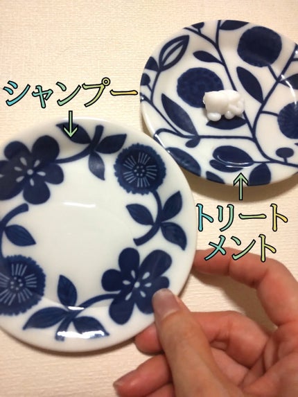 アンドペア コントロール モイスト 2in1 シャンプー&ヘアトリートメント/&PAIR/市販シャンプーを使ったクチコミ(2枚目)