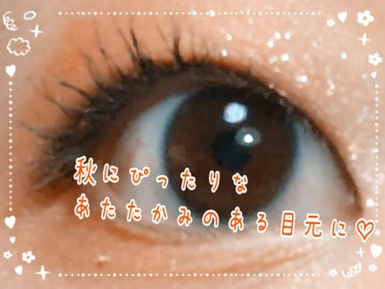 キス ズームアイポーション/KiSS/アイシャドウパレットを使ったクチコミ(5枚目)