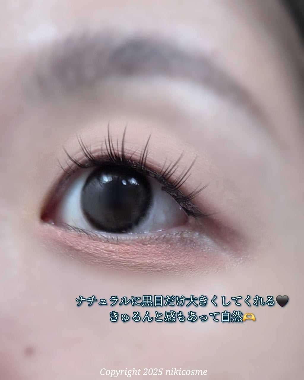 DiQ/myfipn/ワンデー(1DAY)カラコンを使ったクチコミ(2枚目)