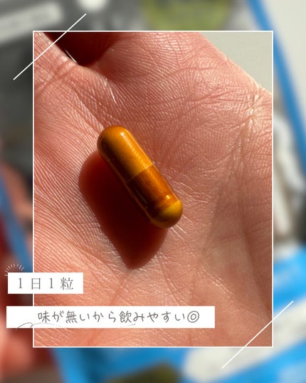 免疫応援酢酸菌/マルマンH&B/健康サプリメントを使ったクチコミ(3枚目)