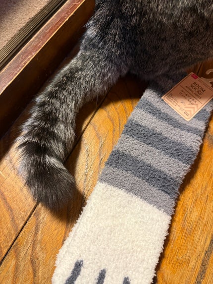 Nyanz on LIPS ãðé²å¯ã«ãŒã ãœãã¯ã¹ðââ¬å»å¹Žãããäžè©±ã«ãªã£ãŠãããã€ãœãŒã®..ãïŒ5æç®ïŒ