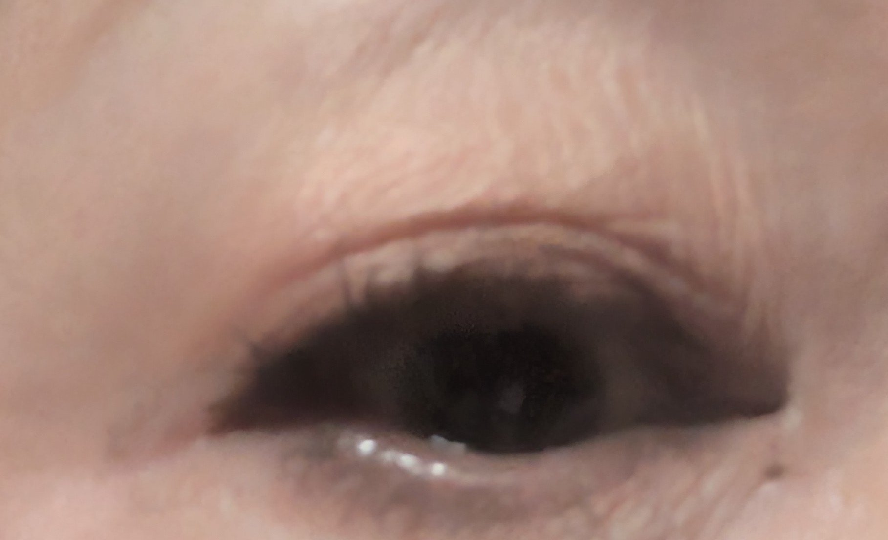 ツイン カラー アイシャドウ/ちふれ/アイシャドウパレットを使ったクチコミ（2枚目）