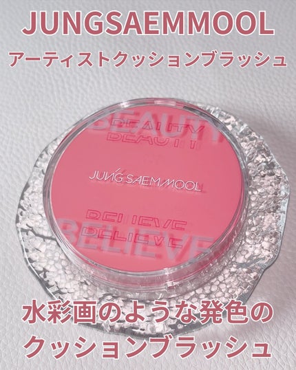 アーティストクッションブラッシュ/JUNG SAEM MOOL/リキッドチークを使ったクチコミ(2枚目)