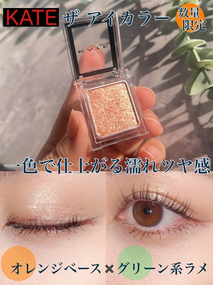 ケイト ザ アイカラー/KATE/単色アイシャドウを使ったクチコミ(1枚目)