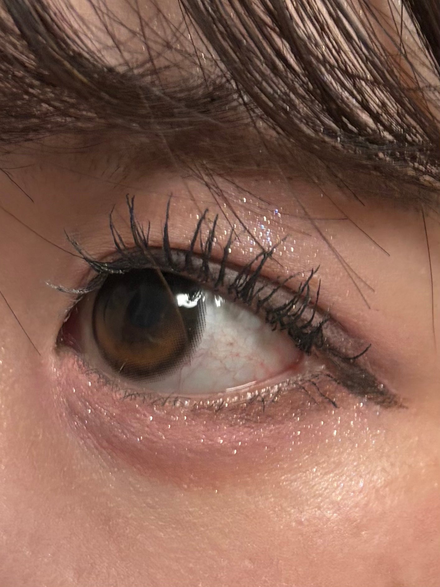 JUDYDOLL メリハリマスターパレット/JUDYDOLL/パウダーハイライトを使ったクチコミ(7枚目)