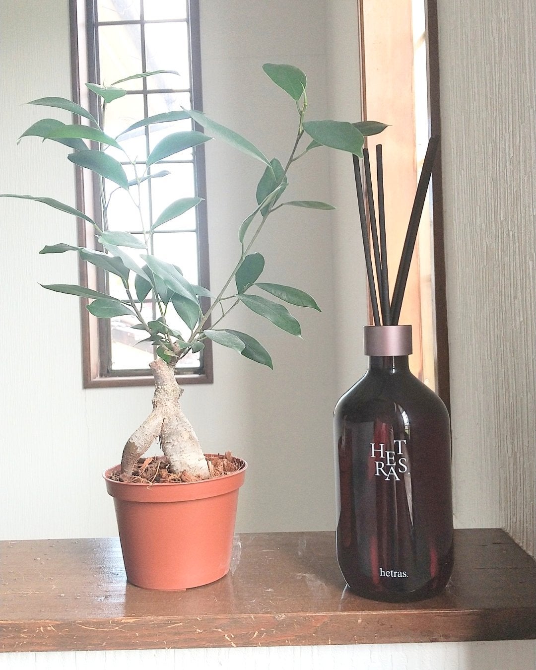 へトラス大容量ディフューザー/hetras/その他を使ったクチコミ(4枚目)