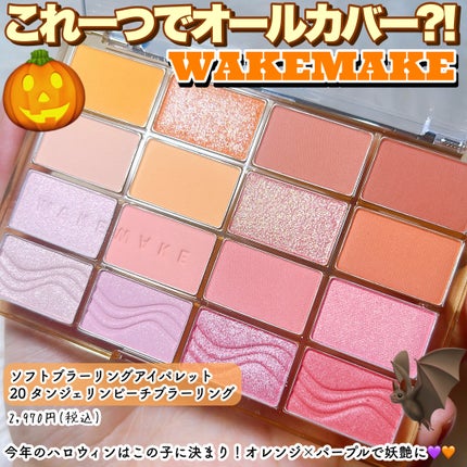 ソフトブラーリングアイパレット/wakemake/アイシャドウパレットを使ったクチコミ(2枚目)