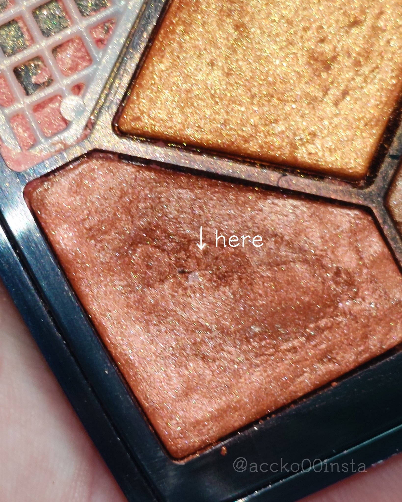 サンク クルール<ワイルド アース＞/Dior/アイシャドウパレットを使ったクチコミ（2枚目）