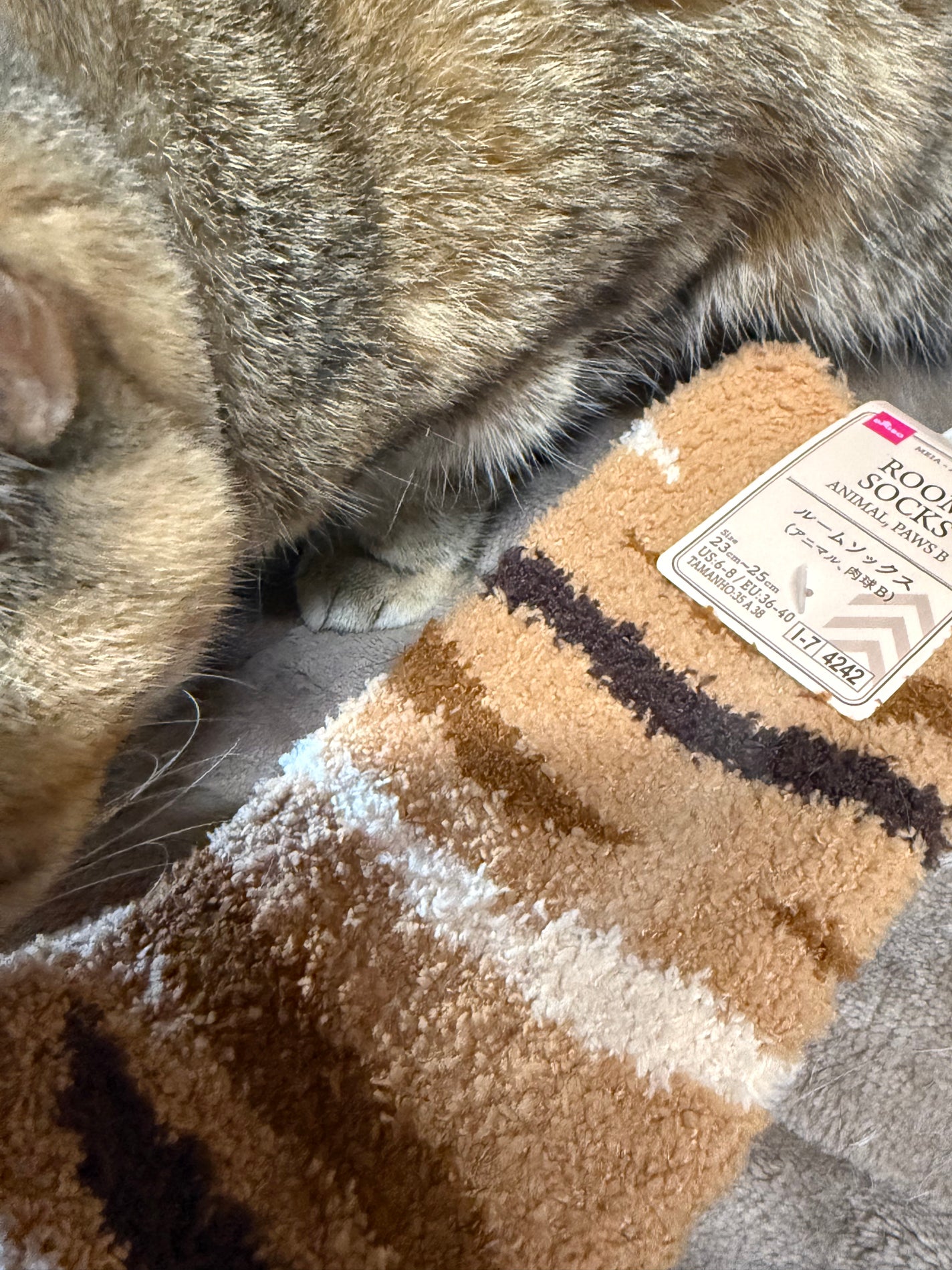 Nyanz on LIPS ãðé²å¯ã«ãŒã ãœãã¯ã¹ðââ¬å»å¹Žãããäžè©±ã«ãªã£ãŠãããã€ãœãŒã®..ãïŒ2æç®ïŒ