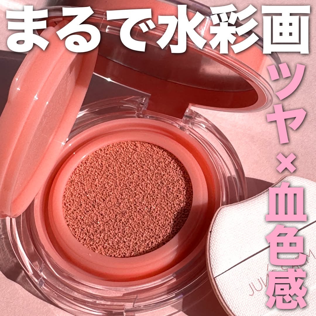 アーティストクッションブラッシュ/JUNG SAEM MOOL/リキッドチークを使ったクチコミ(1枚目)