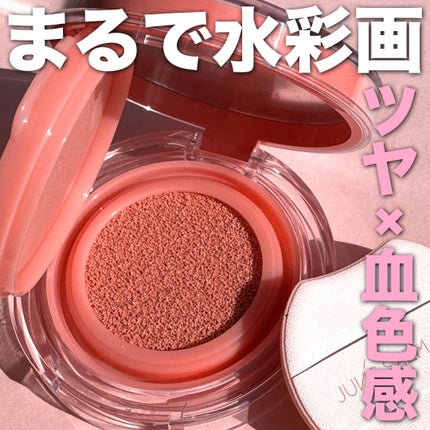 アーティストクッションブラッシュ/JUNG SAEM MOOL/リキッドチークを使ったクチコミ(1枚目)