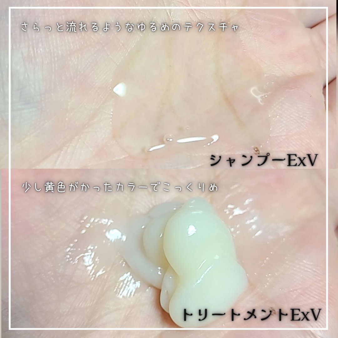 ディープレイヤー シャンプーExV/トリートメントExV 【プロフェッショナルユース】/DeepLayer/サロンシャンプーを使ったクチコミ（2枚目）