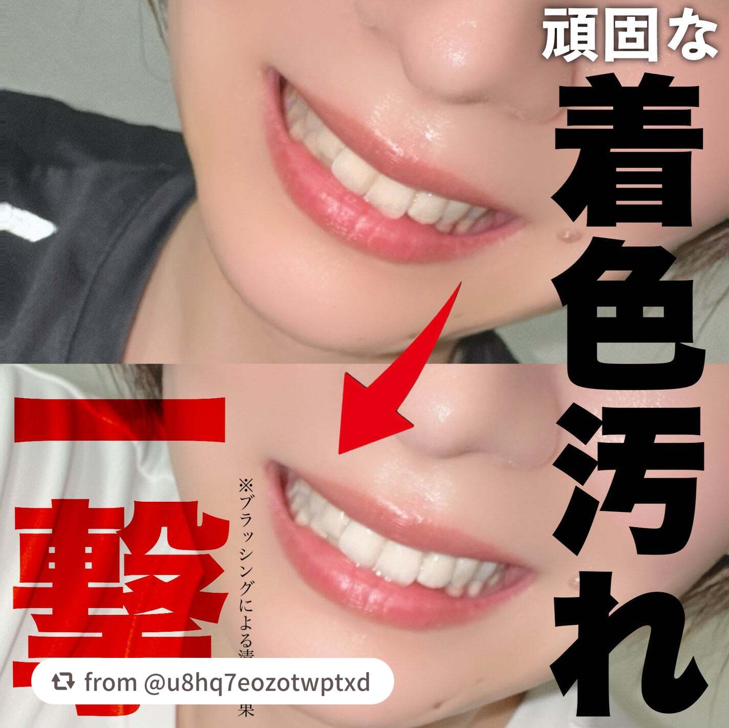 【u8hq7eozotwptxdさんから引用】

“1回188円で出来る高コスパホワイトニング！実際どうなの？

SHOBIDO
comecamu/カムカム はみがきシート
のご紹介です！



めっちゃ手軽に試せる
セル