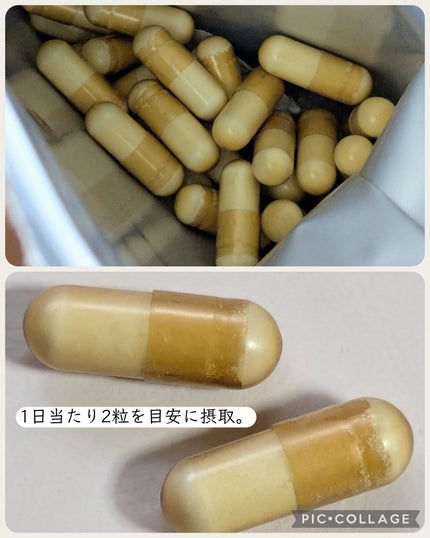 NMN&Collagen/マルマンH&B/美容サプリメントを使ったクチコミ(4枚目)