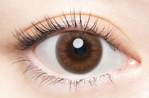 Angelcolor Bambi Series Vintage 1day/AngelColor/ワンデー（１DAY）カラコンを使ったクチコミ（1枚目）