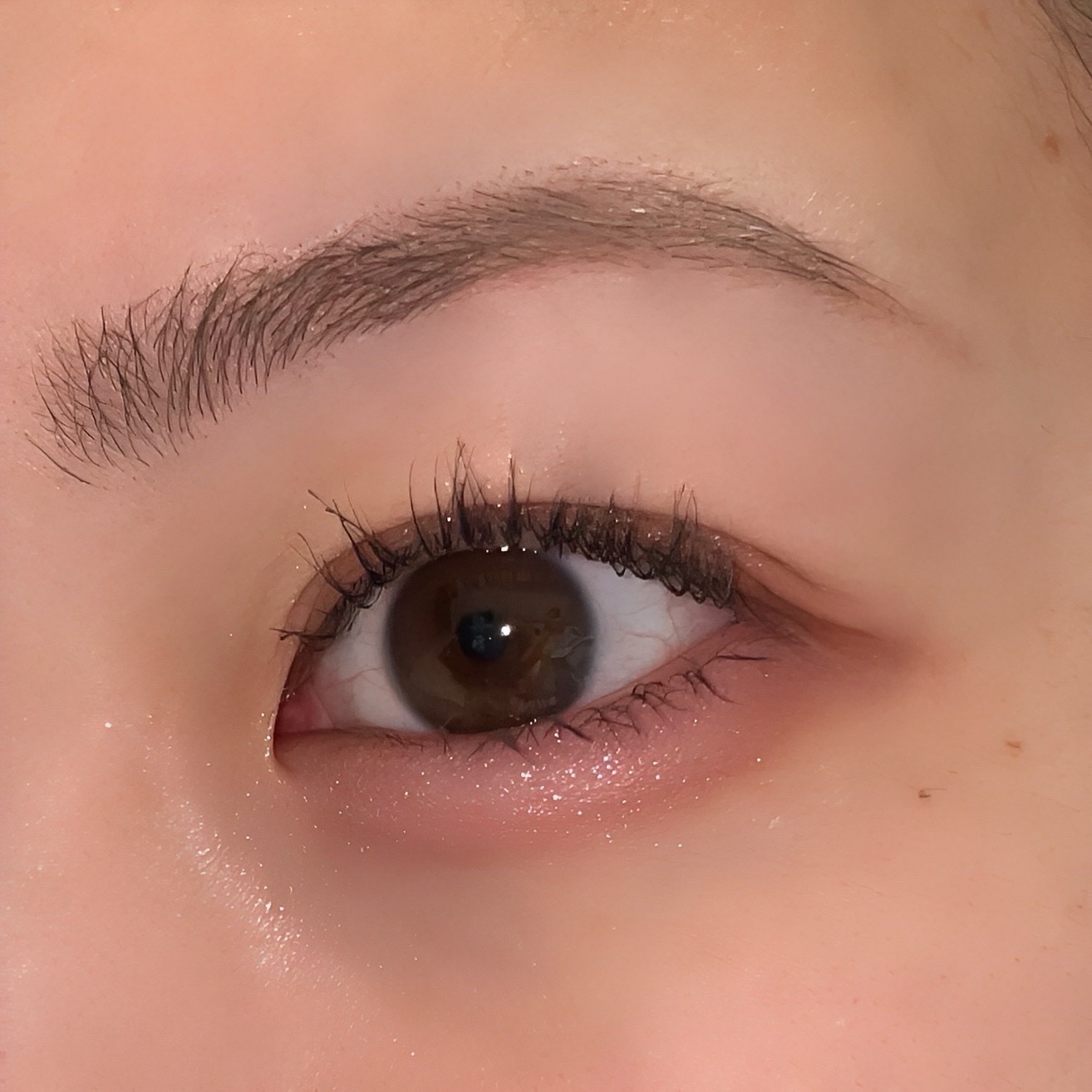 シャインオンステージアイパレット/upink/アイシャドウパレットを使ったクチコミ（3枚目）