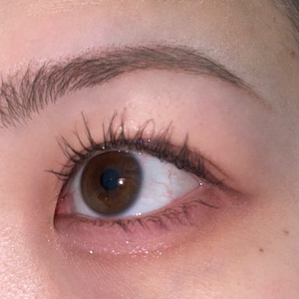 ライトオンアイズシャドウパレット/ルミル/アイシャドウパレットを使ったクチコミ(8枚目)