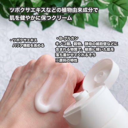 ONE THING センテラスージングクリームのクチコミ「ワンシング 
「センテラスージングクリーム 」
✔️ツボクサエキスなどの植物由来成分で肌を健.....」(2枚目)