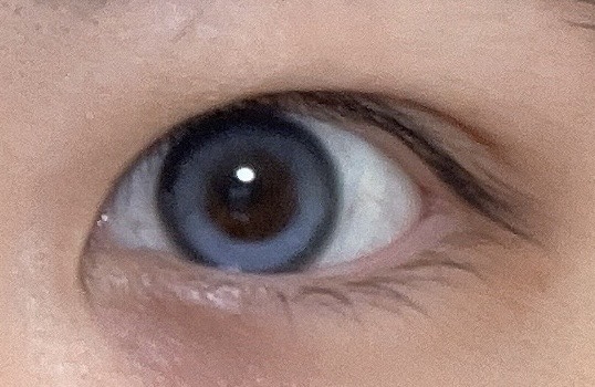 Mxxxnu 1month meowdew/Mxxxnu/１ヶ月（１MONTH）カラコンを使ったクチコミ（1枚目）