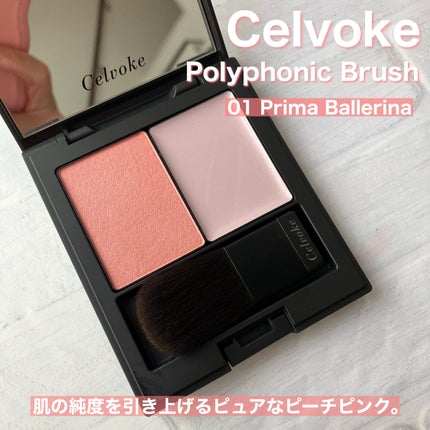 セルヴォーク ポリフォニックブラッシュ/Celvoke/パウダーチークを使ったクチコミ(2枚目)