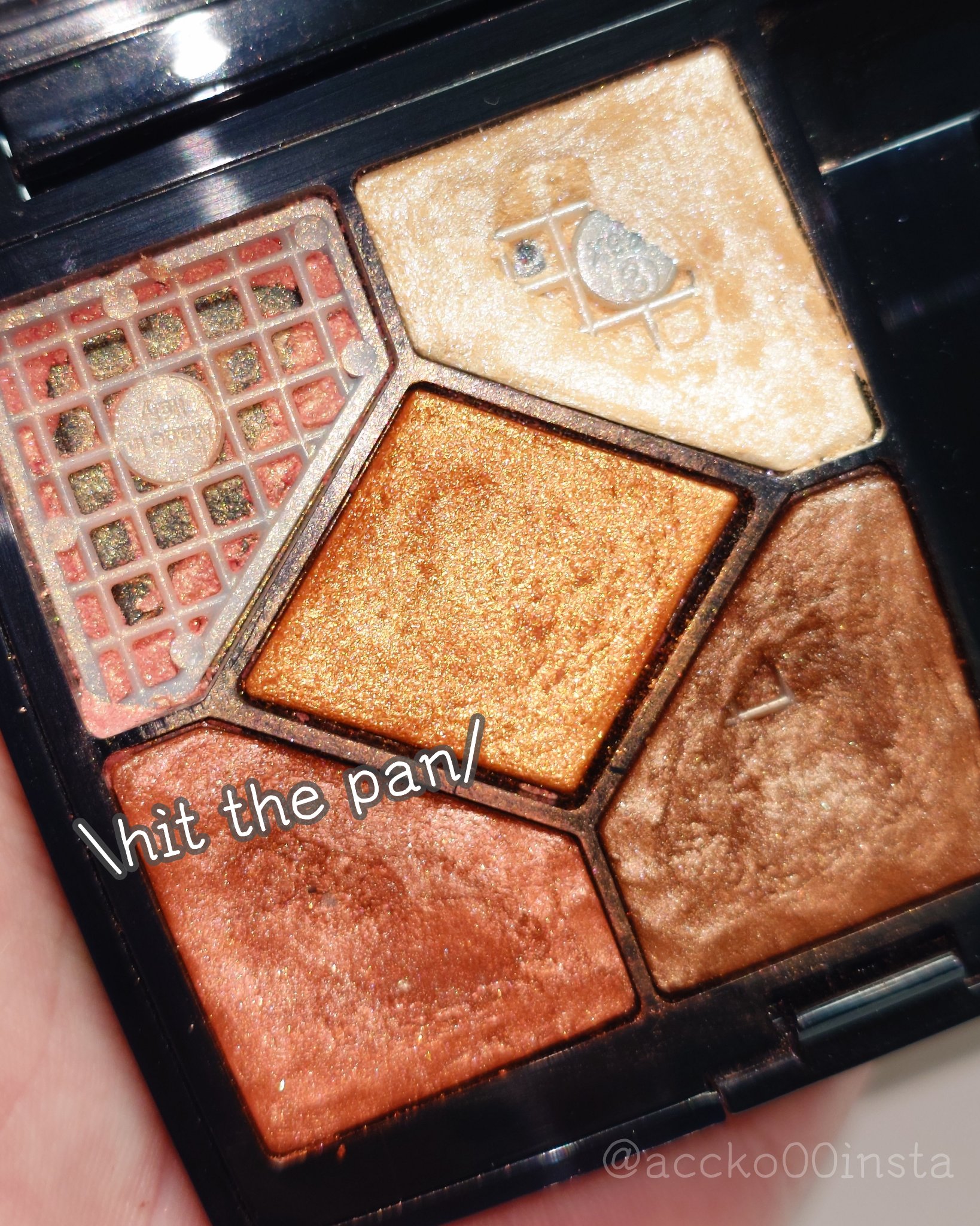 サンク クルール<ワイルド アース＞/Dior/アイシャドウパレットを使ったクチコミ（1枚目）