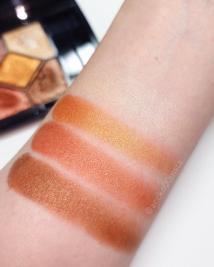 サンク クルール<ワイルド アース>/Dior/アイシャドウパレットを使ったクチコミ(4枚目)