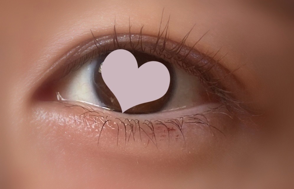 ブライトフューチャーボックス/KANEBO/単色アイシャドウを使ったクチコミ（1枚目）