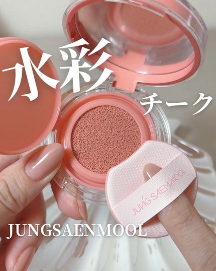 アーティストクッションブラッシュ/JUNG SAEM MOOL/リキッドチークを使ったクチコミ(1枚目)