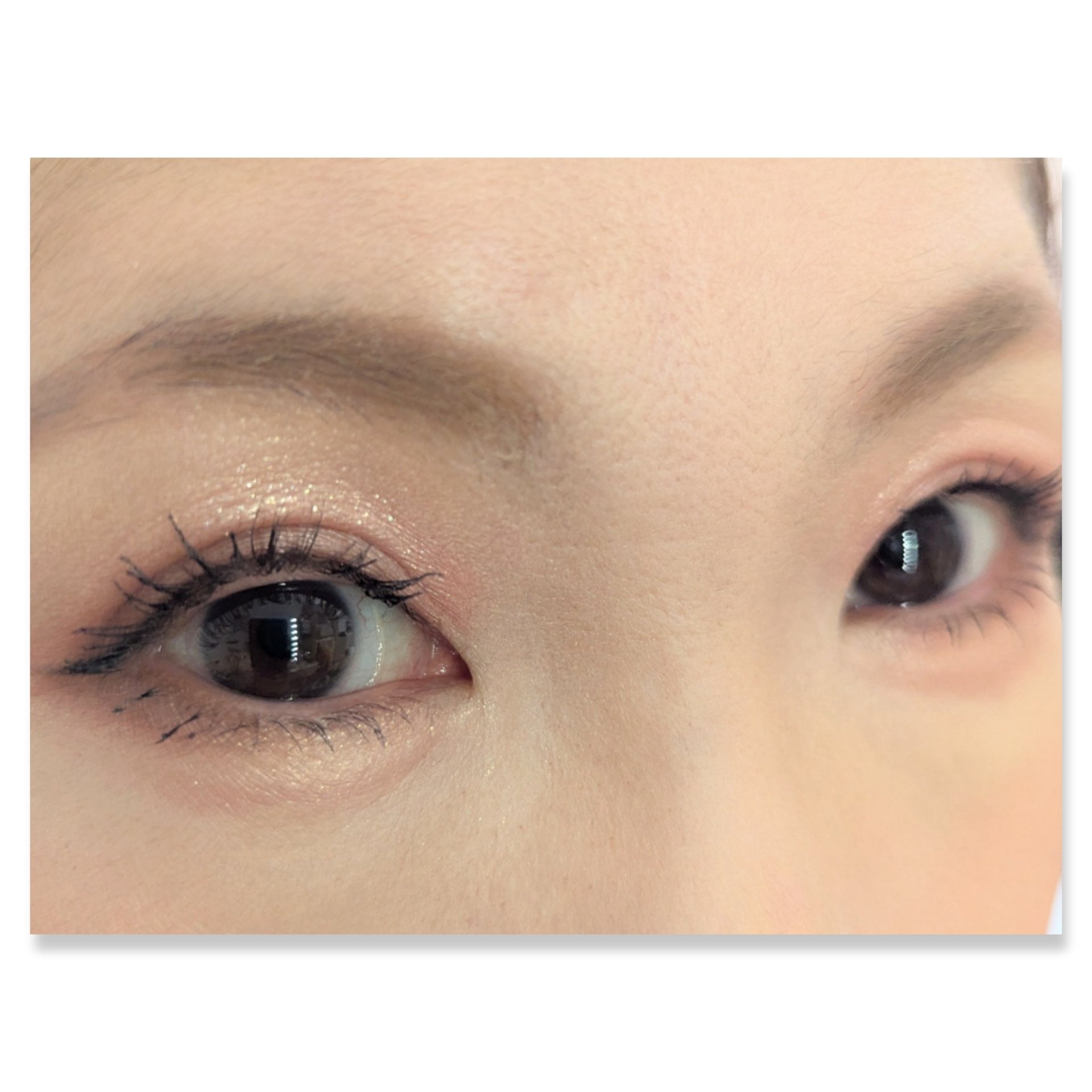 キス ズームアイポーション/KiSS/アイシャドウパレットを使ったクチコミ（2枚目）