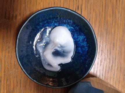 ソラ ウェザーケア クリスタル シャンプー/ヘアトリートメント モイストタイプ/SOLA WEATHER CARE/市販シャンプーを使ったクチコミ(4枚目)