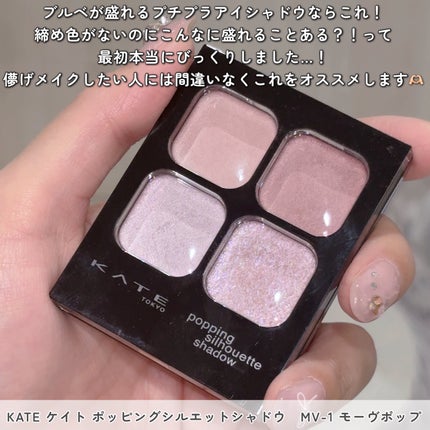 ケイト ポッピングシルエットシャドウ/KATE/アイシャドウパレットを使ったクチコミ(2枚目)