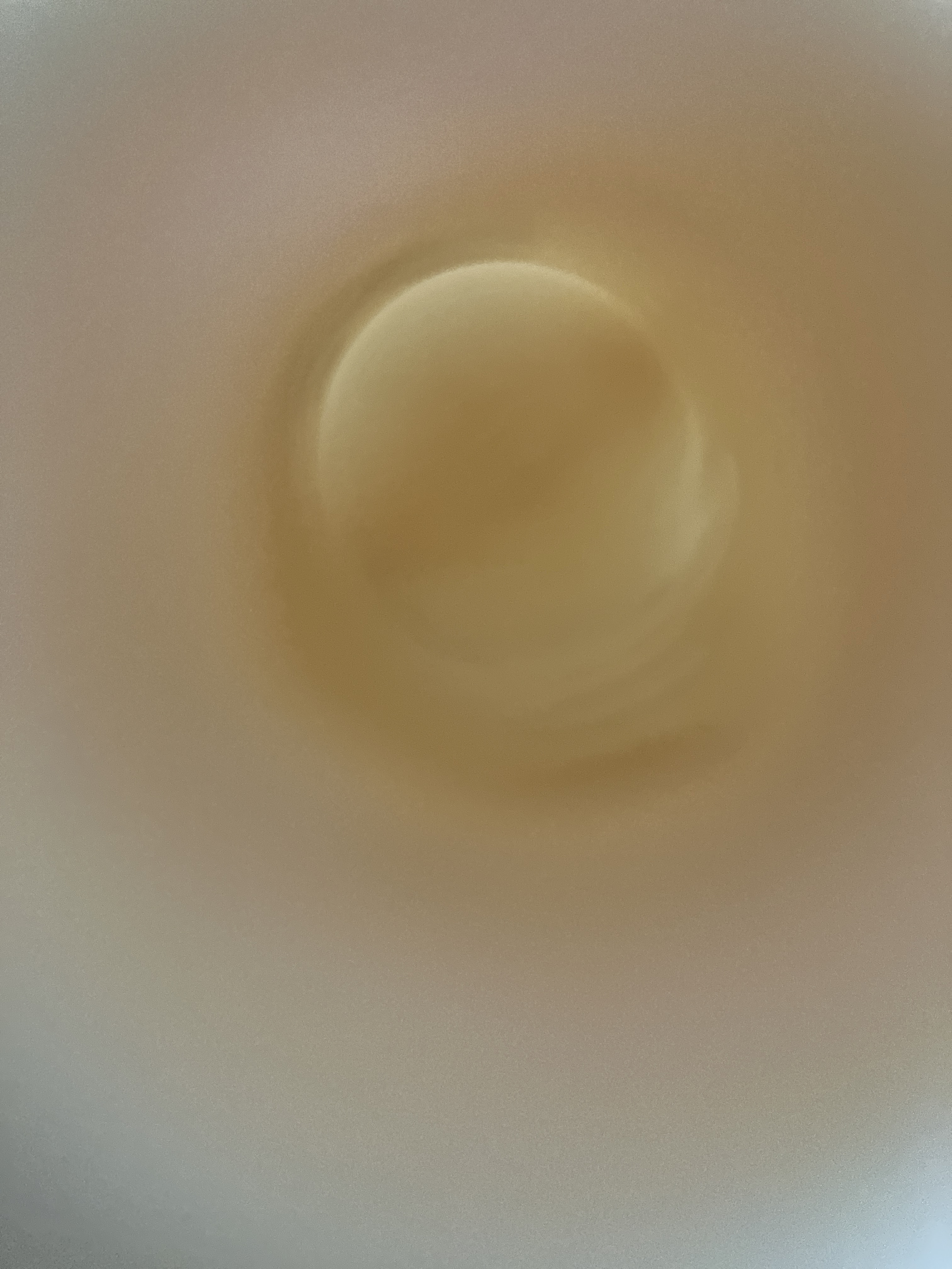 セラミューン™ハイドレーティングクリームフルイド /BIOHEAL BOH/乳液を使ったクチコミ（2枚目）