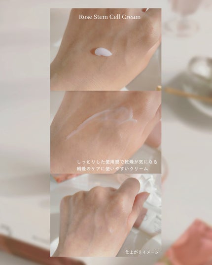 ローズステムセルセラム/Bonajour/美容液を使ったクチコミ(4枚目)