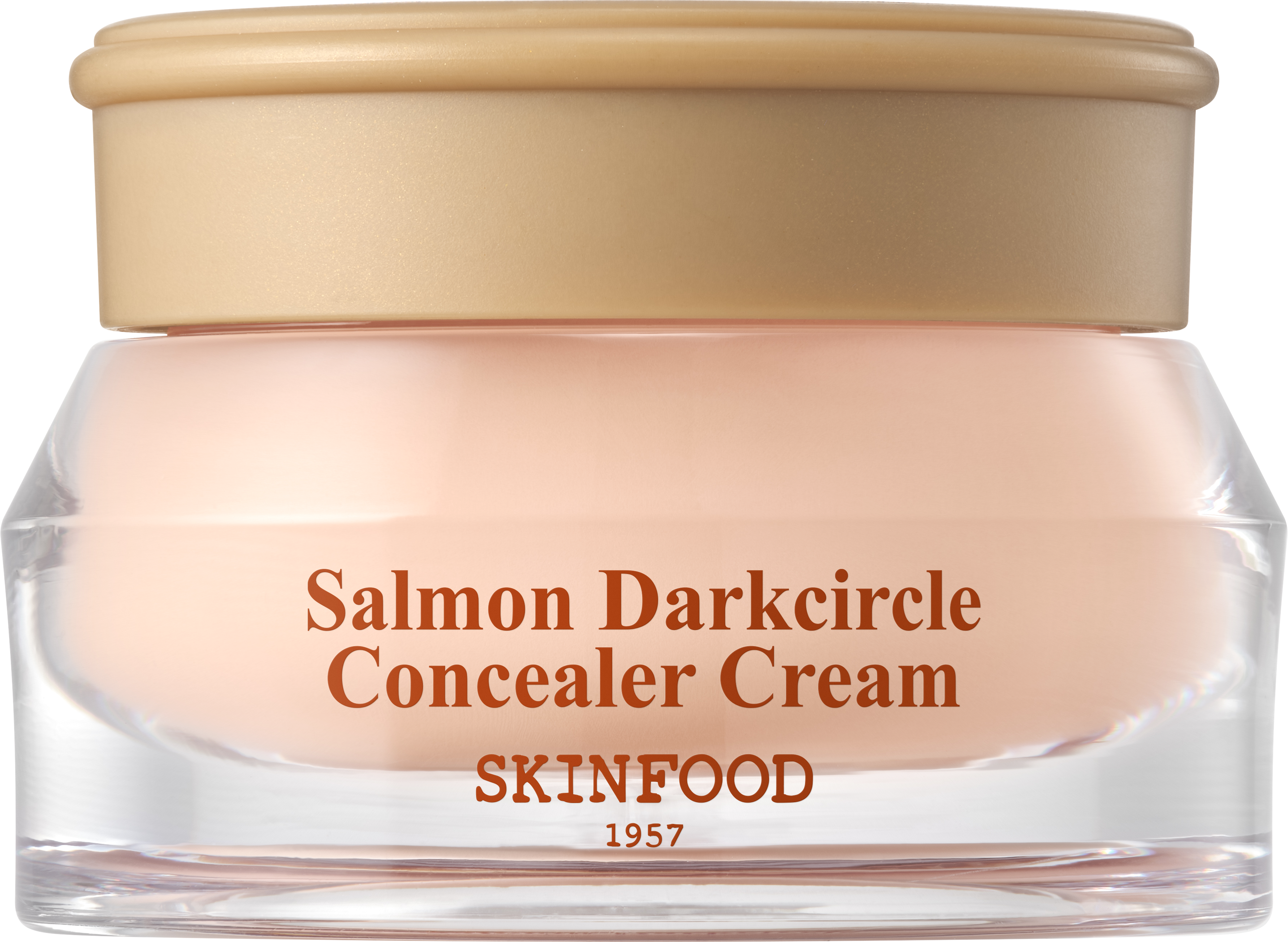 サーモンダークサークルコンシーラー 00ライト