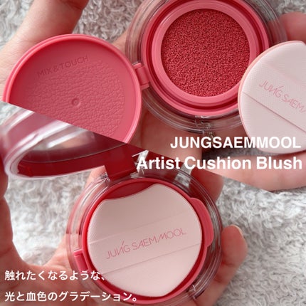 アーティストクッションブラッシュ/JUNG SAEM MOOL/リキッドチークを使ったクチコミ(5枚目)