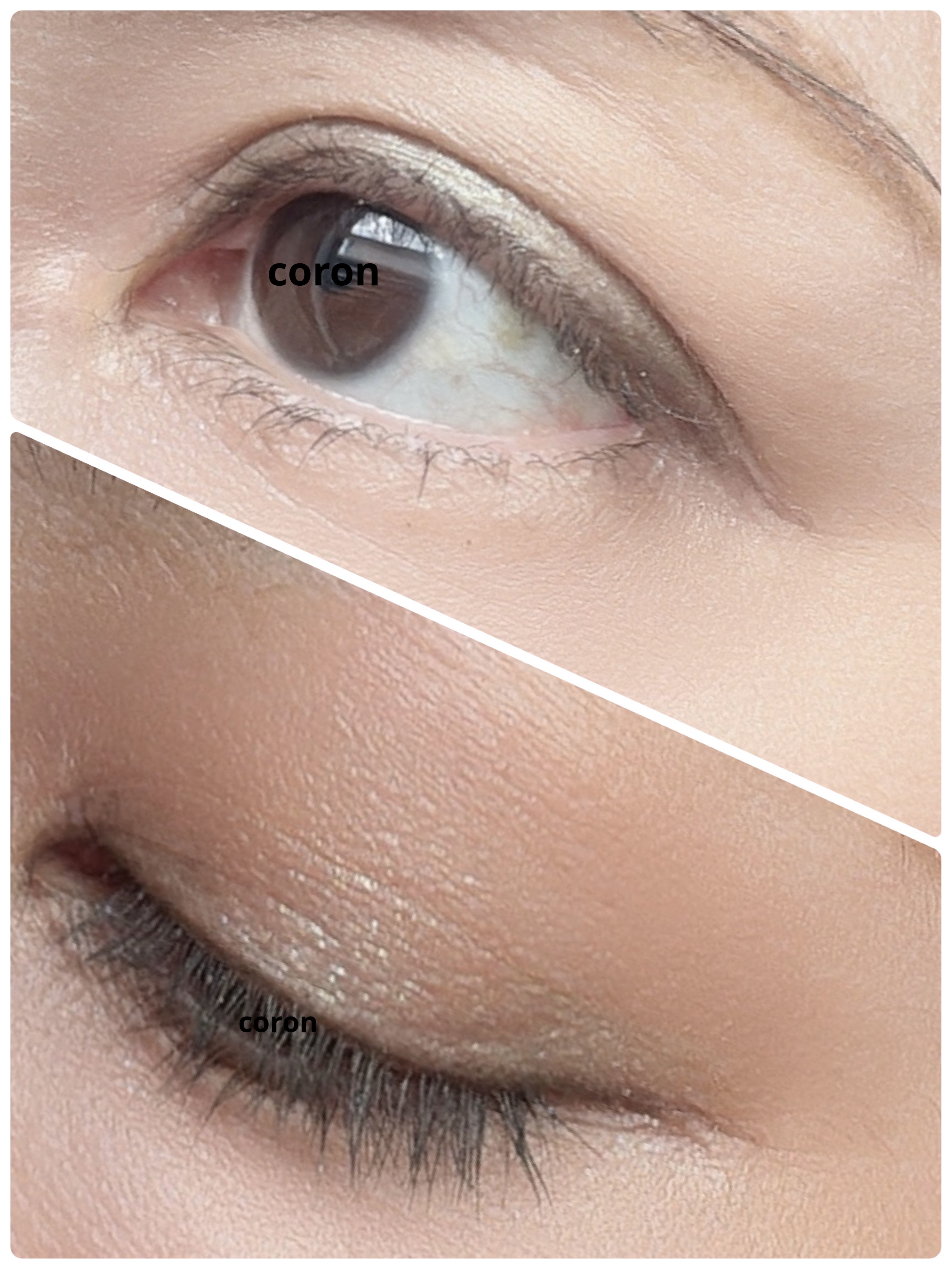 ザ アイシャドウ L 175 Rusty Gold/ADDICTION/単色アイシャドウを使ったクチコミ（2枚目）