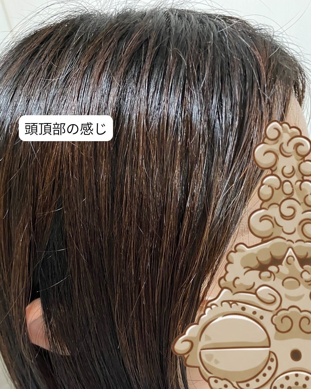 ボンリペア シャンプー/トリートメント/bonparme/シャンプー・コンディショナーを使ったクチコミ(9枚目)