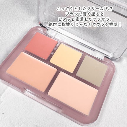 コンシールブレンダーパレット/LUNA/パレットコンシーラーを使ったクチコミ(6枚目)