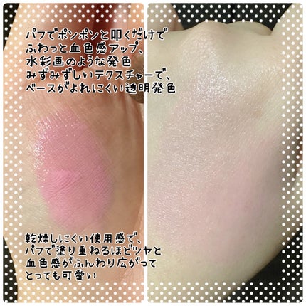 アーティストクッションブラッシュ/JUNG SAEM MOOL/リキッドチークを使ったクチコミ(3枚目)