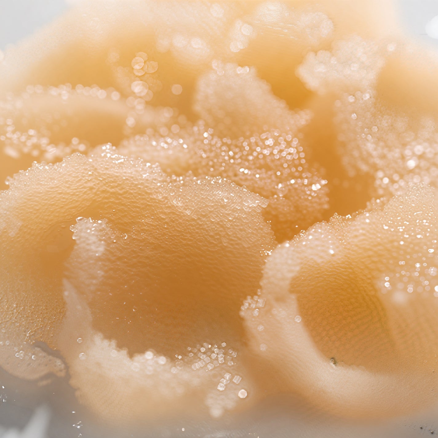 ジョバンニ シュガー ボディスクラブ ゴールデンハニー giovanni