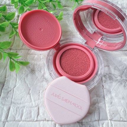 アーティストクッションブラッシュ/JUNG SAEM MOOL/リキッドチークを使ったクチコミ(4枚目)