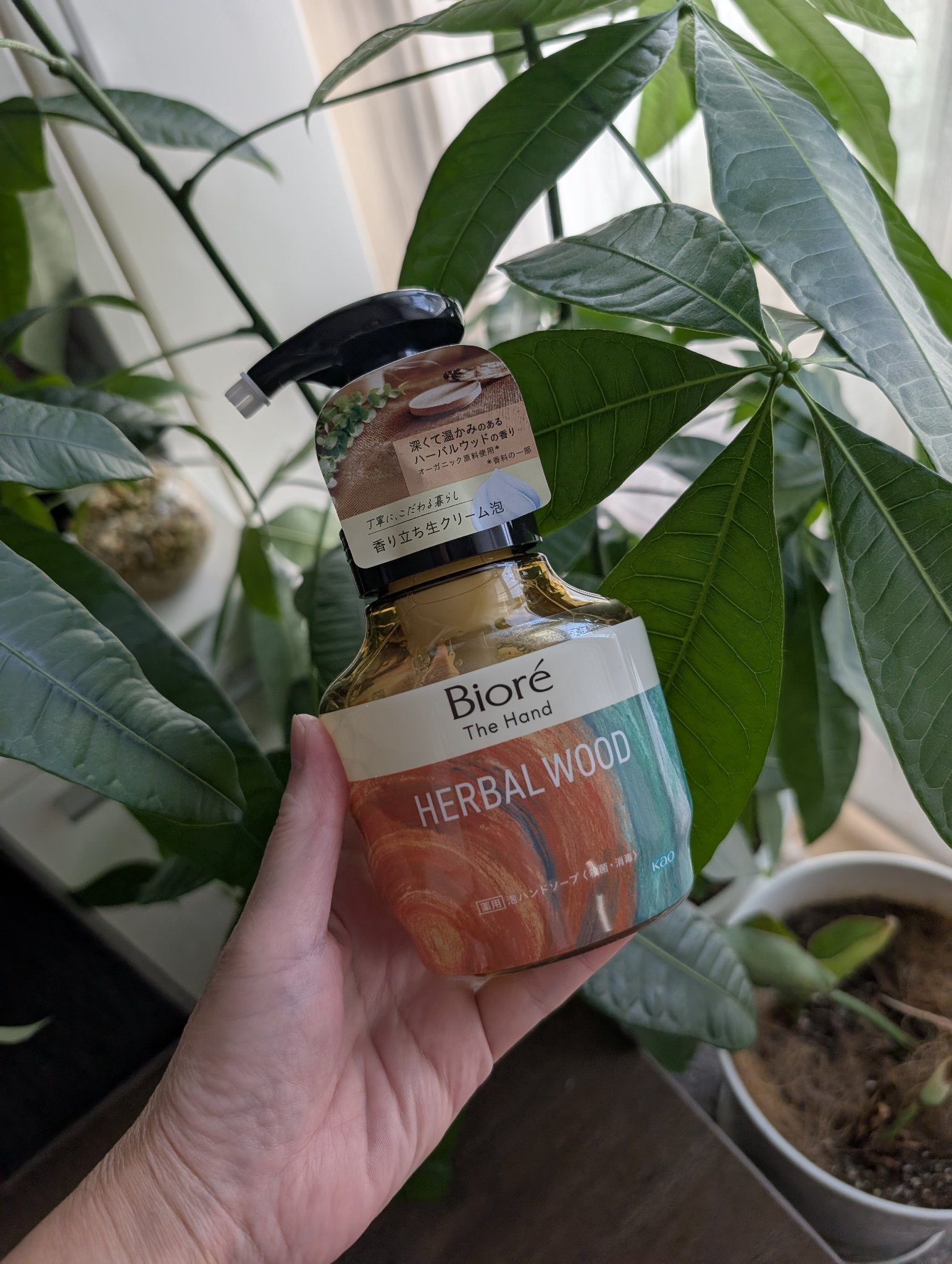 ビオレ ザ ハンド　 薬用泡ハンドソープ　深くて温かみのあるハーバルウッドの香り/ビオレ/ハンドソープを使ったクチコミ（1枚目）