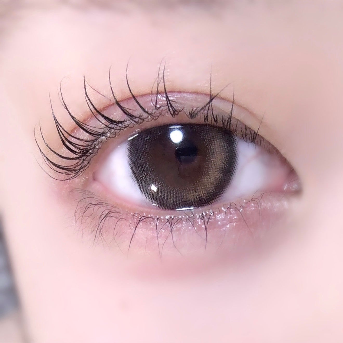 FLANMY 1day/FLANMY/ワンデー(1DAY)カラコンを使ったクチコミ(1枚目)