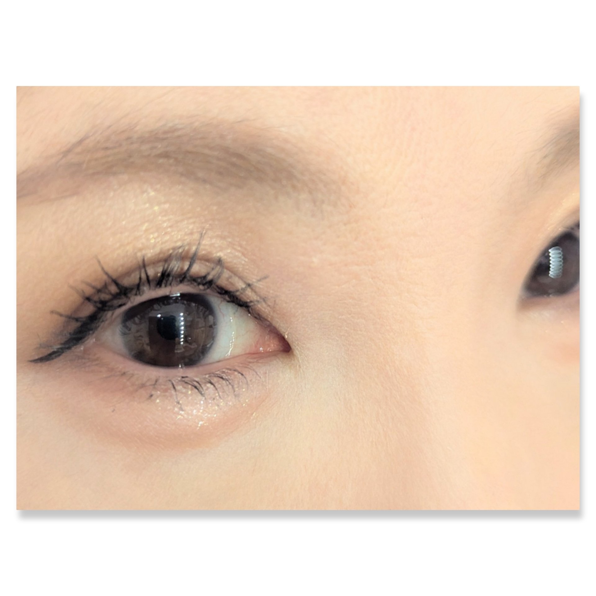 パノラマデザイン アイパレット/Visée/アイシャドウパレットを使ったクチコミ（2枚目）